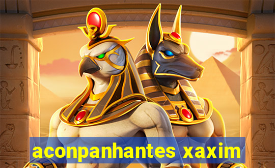 aconpanhantes xaxim